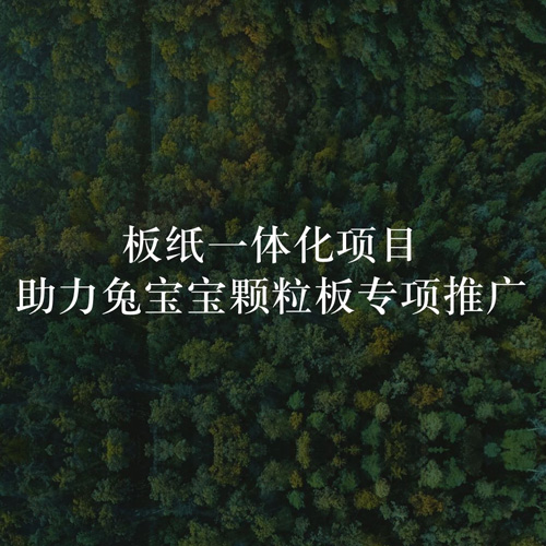 板纸一体化项目，助力JDB电子颗粒板专项推广