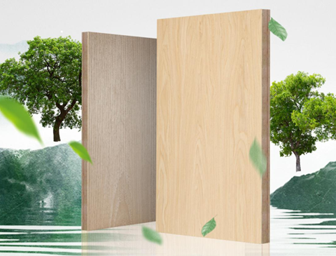 JDB电子制定多项团体标准，推动行业规范化发展