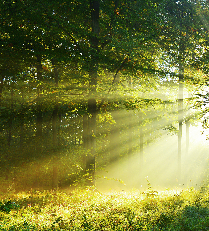 荣誉，来自认可